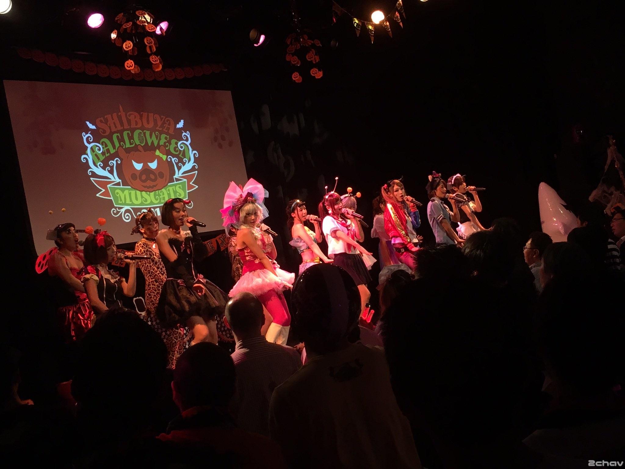 マスカッツハロウィン012