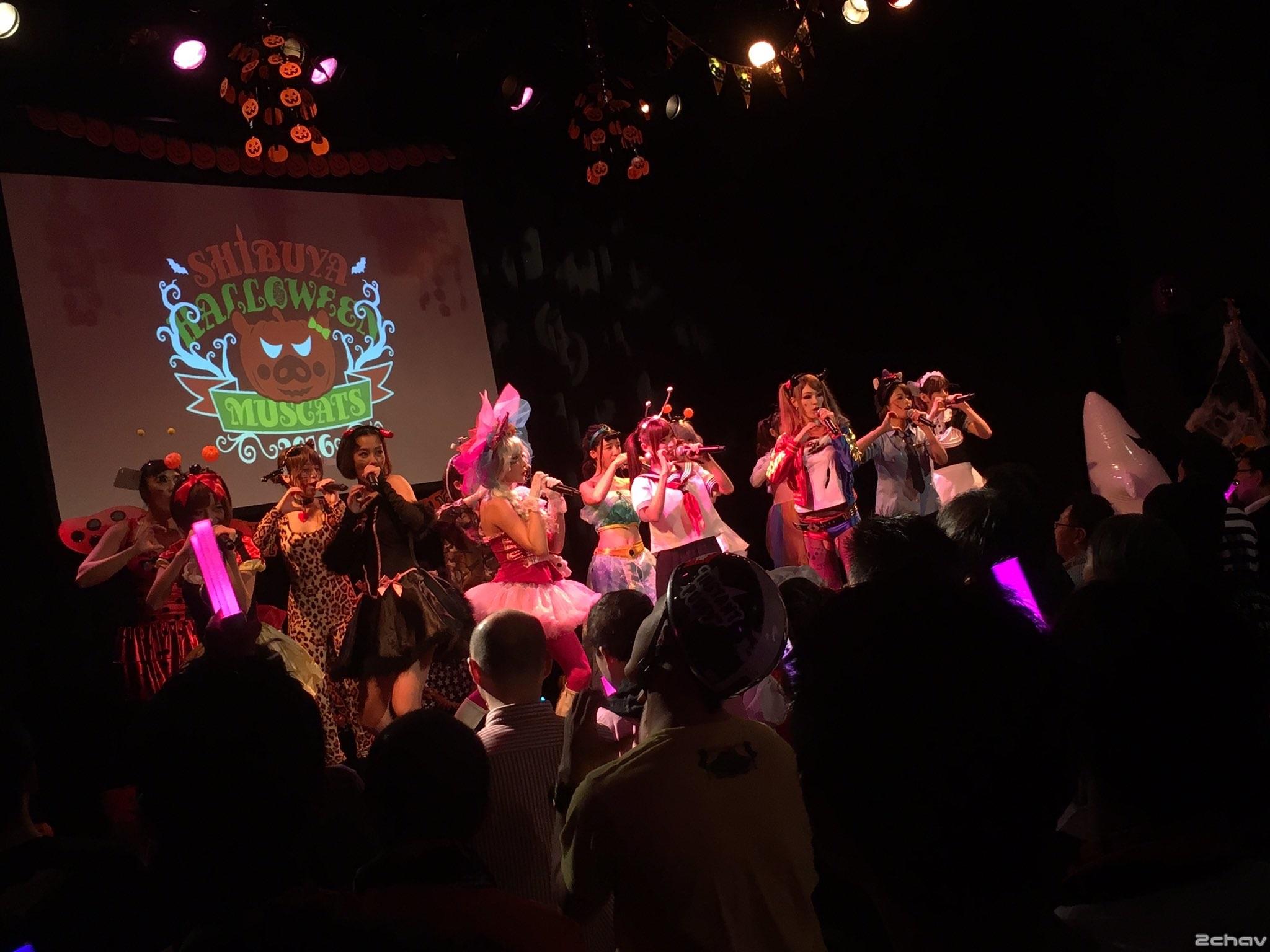 マスカッツハロウィン013