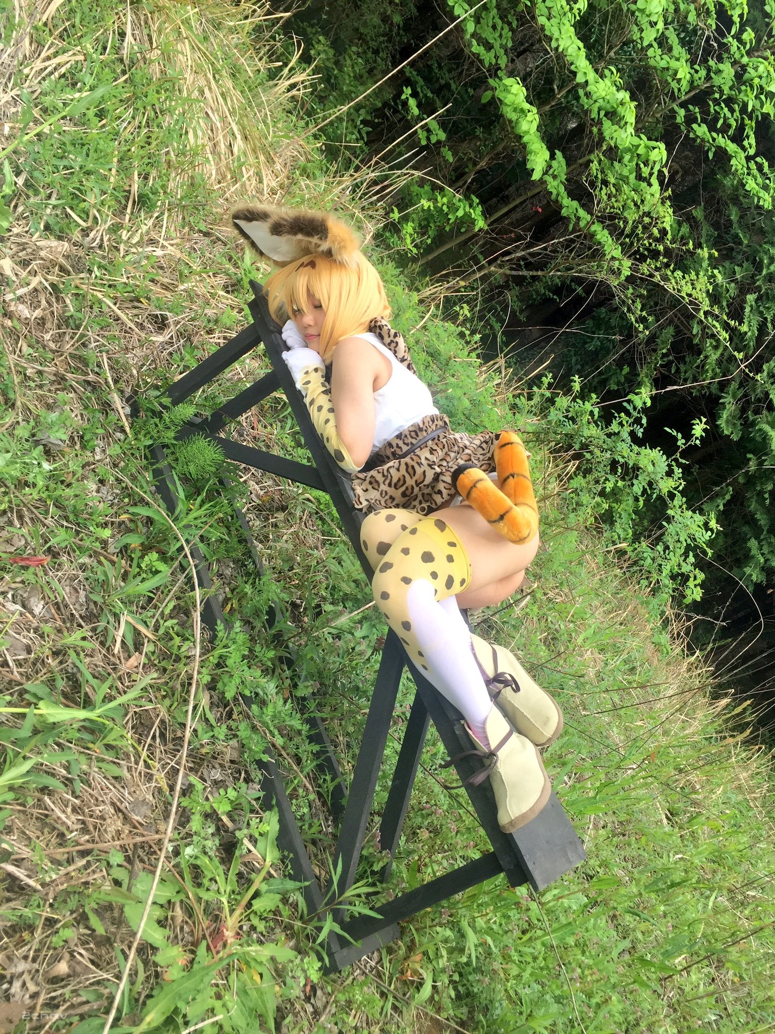 けもの005