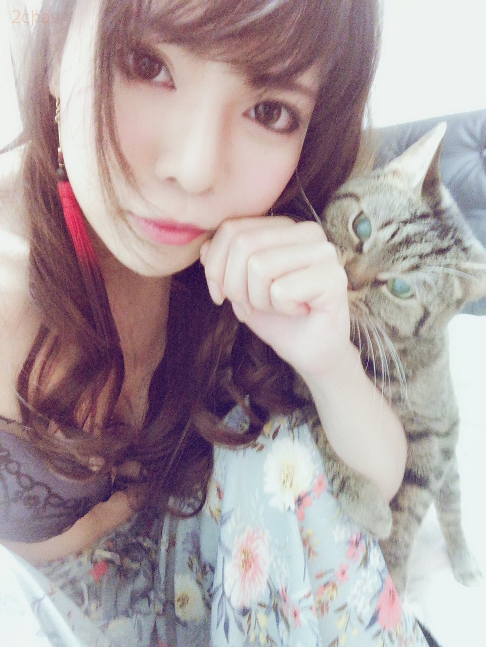 天川涼羽012