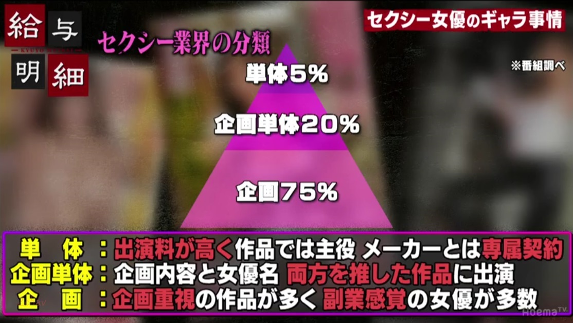 給与明細水川スミレ020